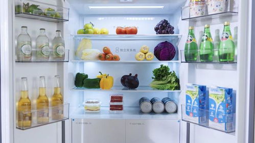 一图在手，选购嵌入式冰箱不再迷茫—各大品牌尺寸大盘点