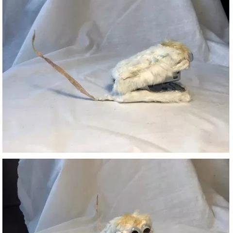 百元品牌冰箱大比拼，好用不贵，这些品牌值得你关注！