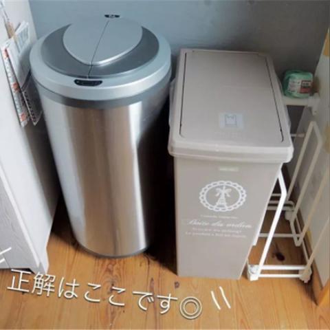 日本本土冰箱品牌大揭秘，谁才是市场上的佼佼者？