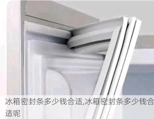 冰箱胶条更换品牌及价格大揭秘！