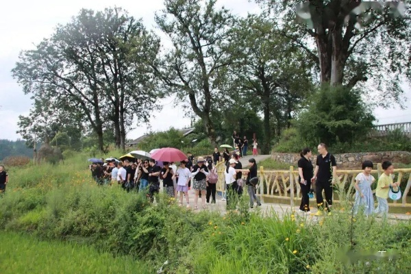 打造精品乡村旅游服务，让乡村游焕发新活力