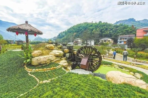 打造精品乡村旅游服务，让乡村游焕发新活力