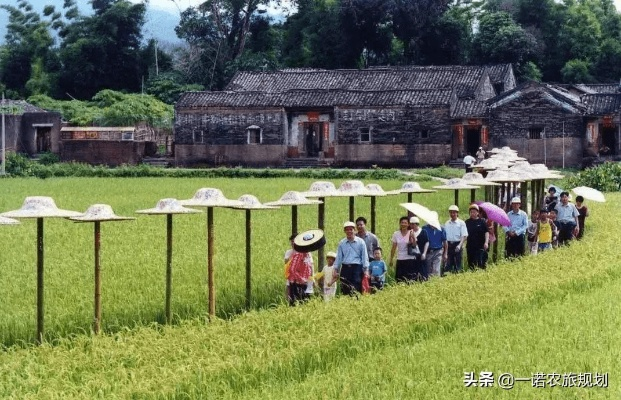打造精品乡村旅游服务，让乡村游焕发新活力