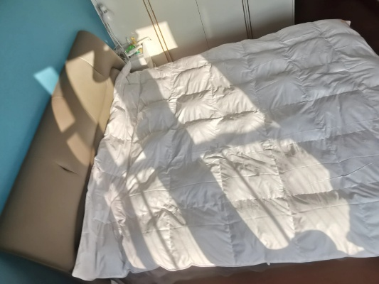 自己动手，丰衣暖被—教你如何自制鸭绒被