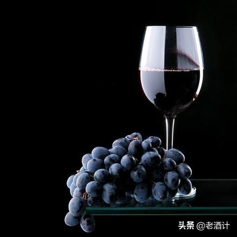 探寻最佳存酒利器—推荐这款存酒冰箱品牌！