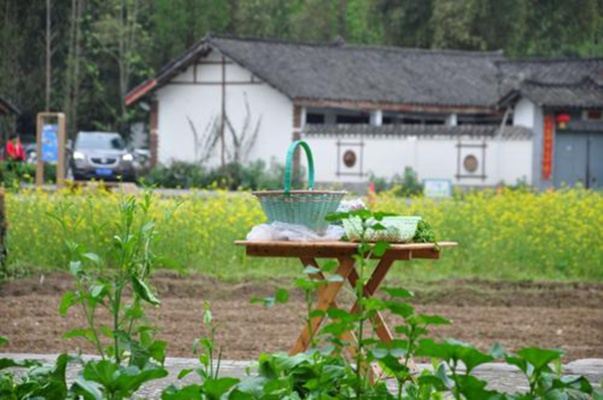 乡村旅游点经营攻略，打造你的田园诗篇
