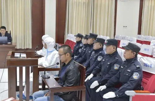 鸭绒被的黄金生产年份揭秘