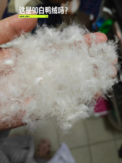 白鸭绒被填充物百分之七十，究竟好不好？