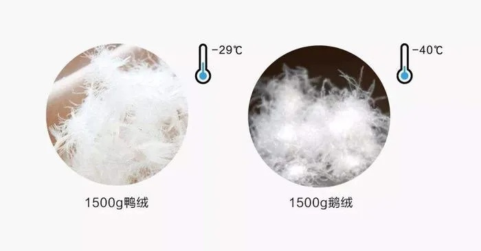 白鸭绒被填充物百分之七十，究竟好不好？