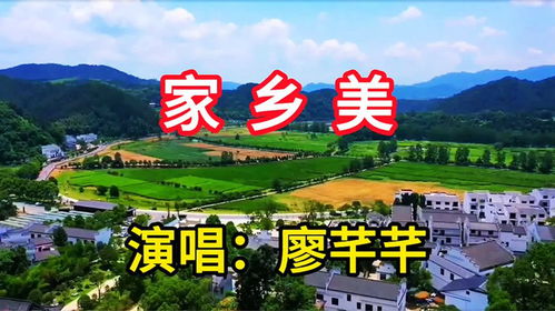 乡村八字，描绘家乡美好画卷