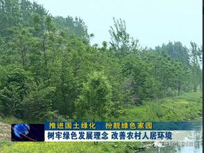 乡村的树—我的绿色朋友