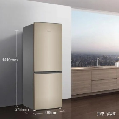 冰箱二门品牌大盘点，品质生活从好冰箱开始