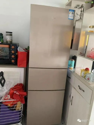 盘点最新发布的二手冰箱品牌，品质生活从旧开始！