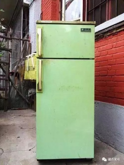 盘点最新发布的二手冰箱品牌，品质生活从旧开始！