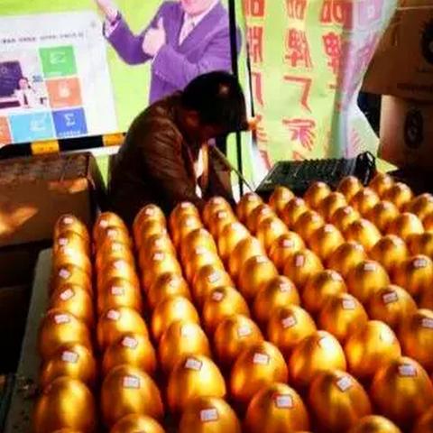信阳电冰箱品牌霸主地位，揭秘为何它稳居榜首