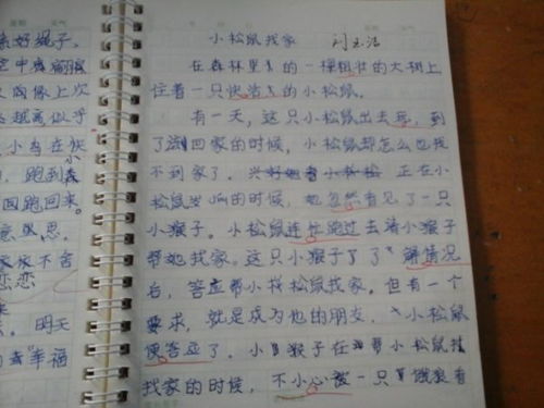我的乡村日记—三年级的小学生视角
