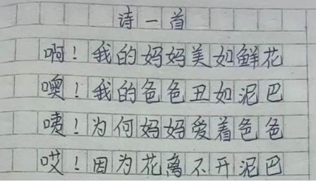 我的乡村日记—三年级的小学生视角