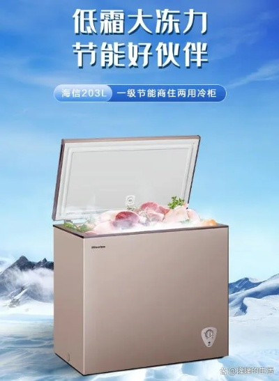 揭秘冰箱界的明星品牌—干冰箱十大品牌排行榜大揭秘！