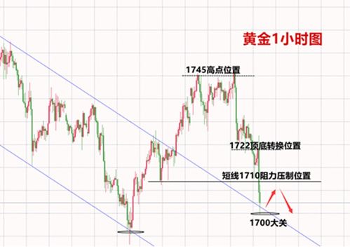 揭秘鸭绒被的黄金生产年份，哪一年最值得入手？