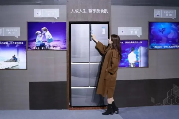 太空冰箱界的佼佼者，揭秘两大品牌优势与案例