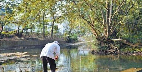 乡村祥和景象，一幅美丽的画卷