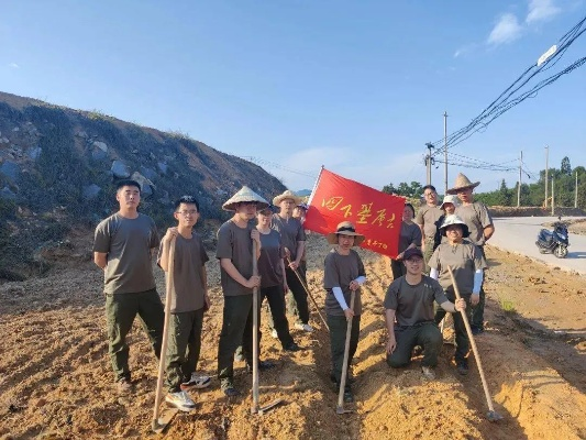 青年干部在乡村振兴工作中的实践与探索