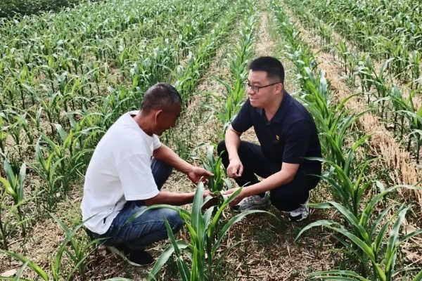 如何成为一名优秀的乡村两员—实践指南与案例分析