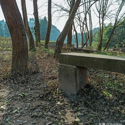 乡村美景如画，我的家乡美如诗