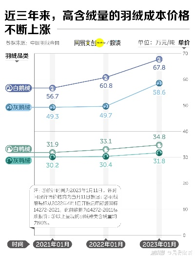 90年代鸭绒被的兴起与价格探秘