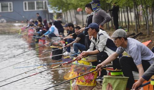魅鱼直播下载难题大揭秘，原因、解决方法及案例分析