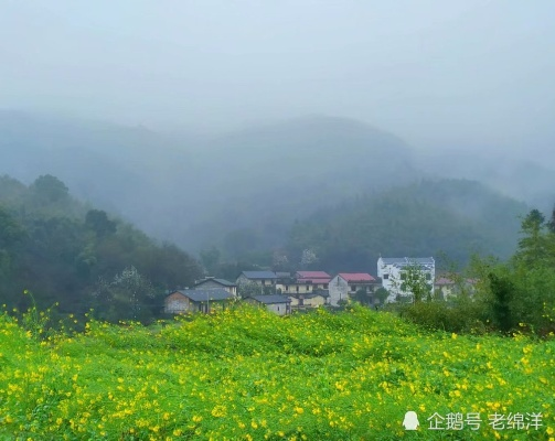 乡村美景如画，走进自然的心灵家园