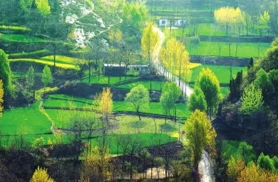 乡村美景如画，走进自然的心灵家园