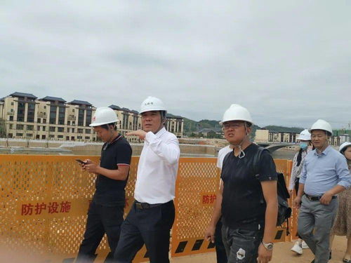 打造富裕美丽乡村的秘诀与实践—案例分析及实施步骤