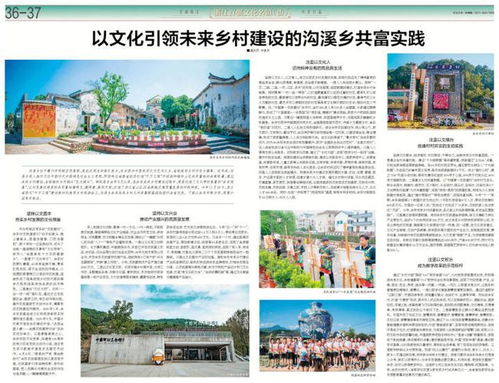 打造富裕美丽乡村的秘诀与实践—案例分析及实施步骤