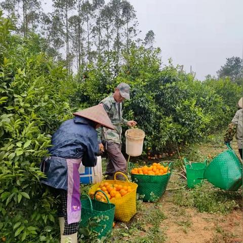 锻造乡村干部队伍文化，打造一支有温度、有担当的三农先锋队