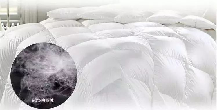 揭秘鸭绒被，绒子含量高达80%温暖你的每一个夜晚