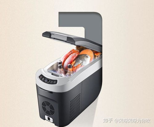 车载冰箱两用神器，这些品牌让你出行无忧！
