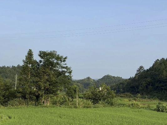 我的乡村生活点滴