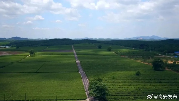 农业局长谈乡村振兴，下一步如何发力，打造美丽乡村新篇章