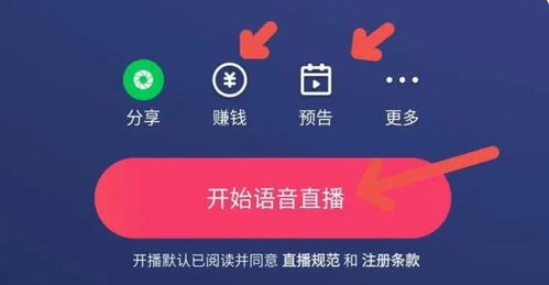 快手直播赚钱攻略，揭秘分成机制与赚钱技巧
