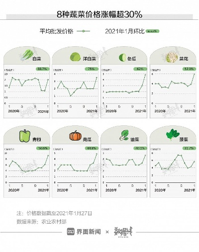 宝山区鸭绒被批发价格一览，温暖过冬不再贵！