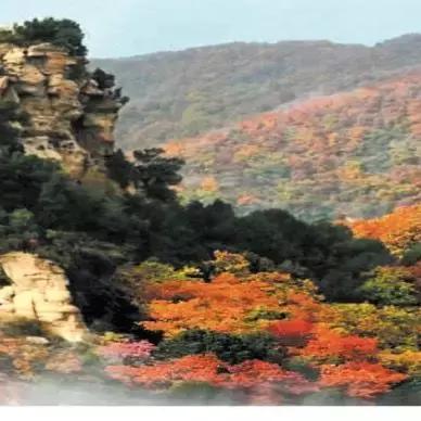 乡村美景，那片让人心醉神迷的田园画卷