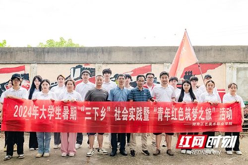 大学生三下乡助力乡村振兴，青春力量在行动