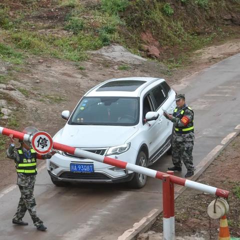 乡村的树，我们的绿色守护者