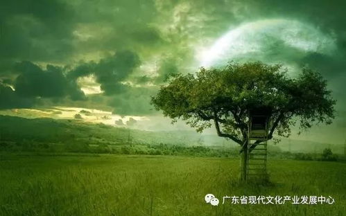 乡村的树，我们的绿色守护者