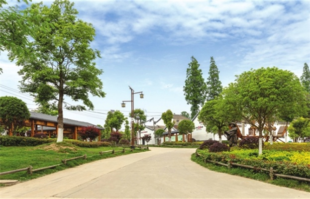 乡村现状，变迁中的美丽家园