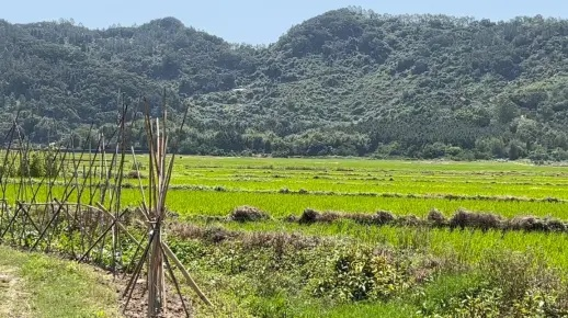 乡村景致，走进自然，感受田园之美