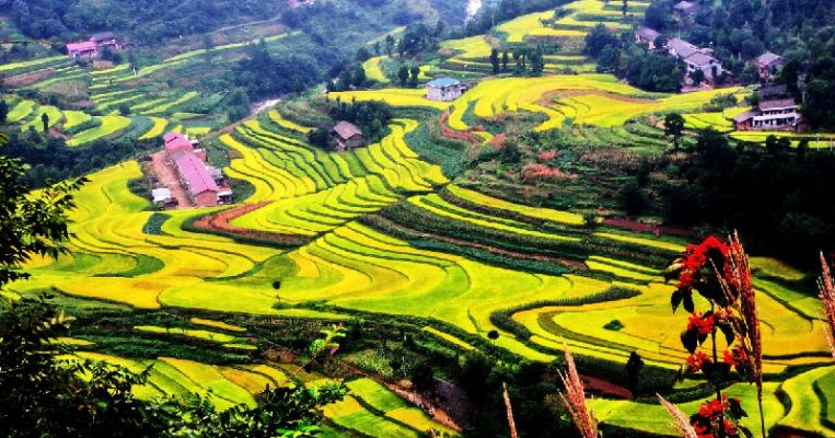 乡村景致，走进自然，感受田园之美