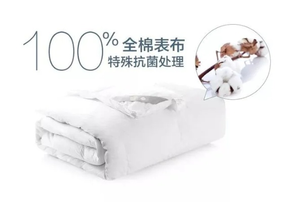 揭秘鸭绒被排行榜第一名，品质与舒适的完美结合！