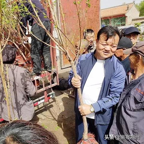 乡村振兴中的生态环境保护，策略与实践